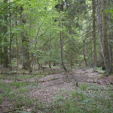 PłoskinieZakatek Warminski住宿加早餐旅馆 外观 照片