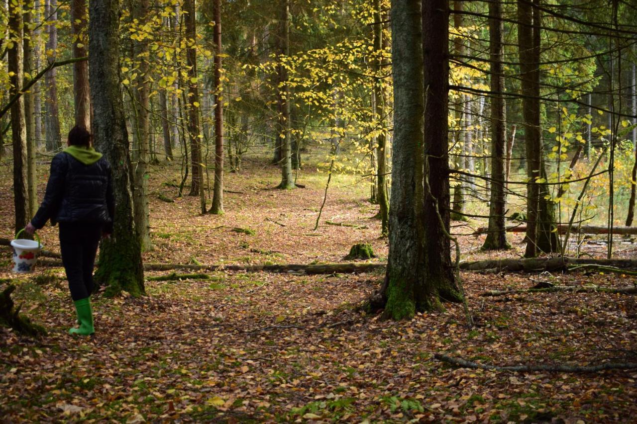 PłoskinieZakatek Warminski住宿加早餐旅馆 外观 照片