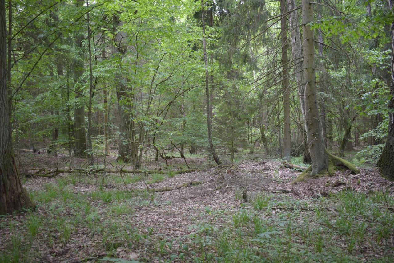 PłoskinieZakatek Warminski住宿加早餐旅馆 外观 照片