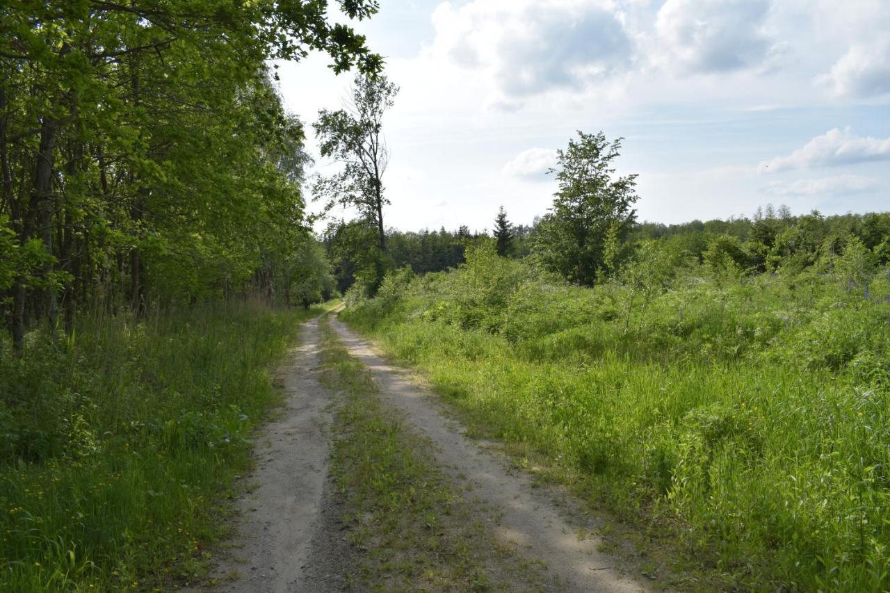 PłoskinieZakatek Warminski住宿加早餐旅馆 外观 照片